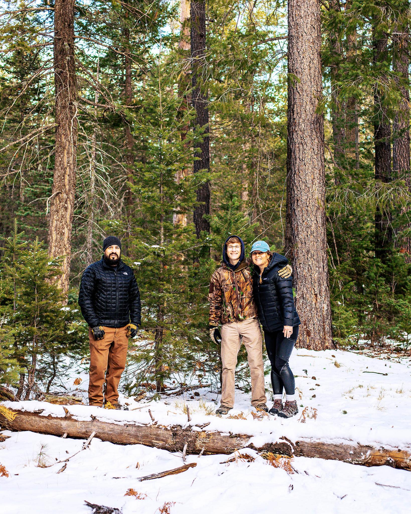 Cutting Down Your Own Christmas Tree in Arizona Arizona Travel Ideas