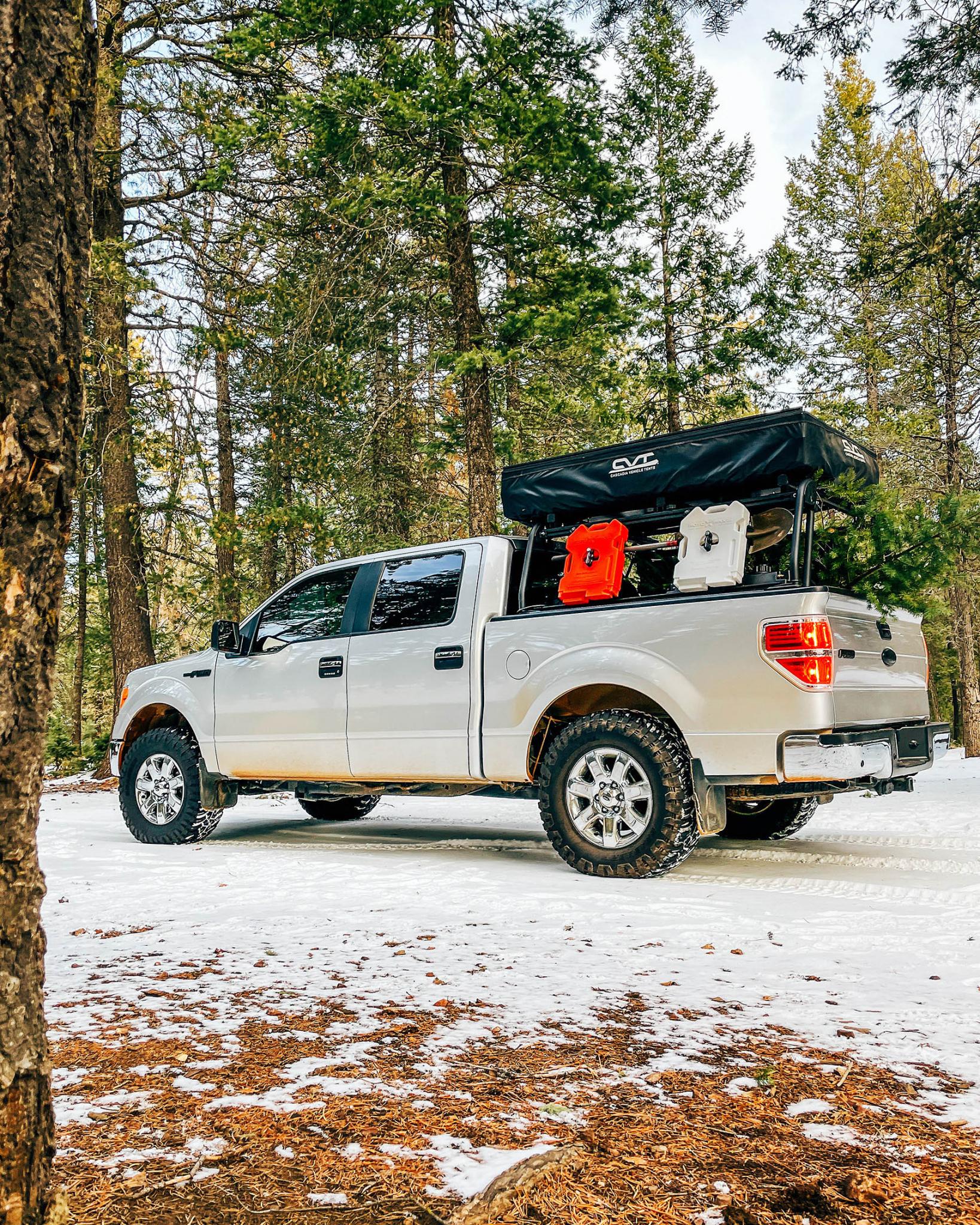 Cutting Down Your Own Christmas Tree in Arizona Arizona Travel Ideas